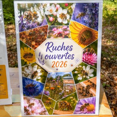RUCHE_OUVERTE_001_WEB.jpg